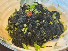 -MR鹅外