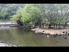 -黔灵山公园-南门售票处