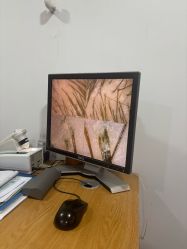 -章光101防脱养发荟