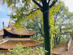 -狼山风景名胜区