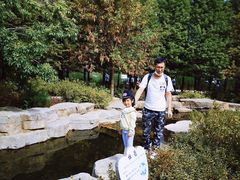 -羊亭河湿地公园