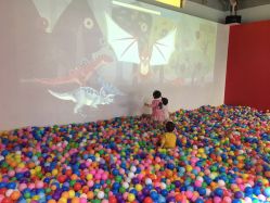 -恐龙探索乐园(磁器口店)