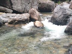 -石台牯牛降景区