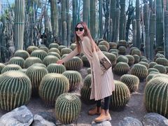 -南山植物园