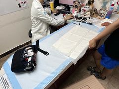 -美联众合动物医院·24h转诊中心
