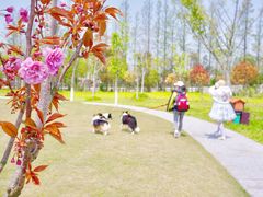 -上海长兴岛郊野公园