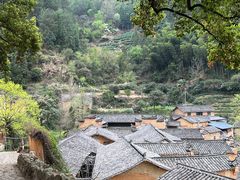 -杨家堂村