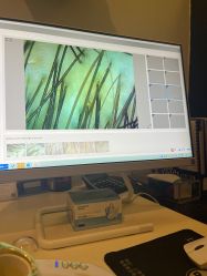 -史云逊养发护发