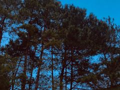 -Club Med地中海俱乐部·桂林度假村