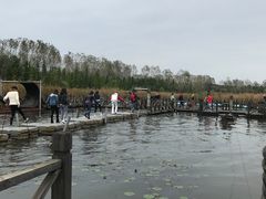 -溱湖国家湿地公园