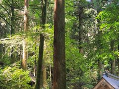 -上色见熊野座神社