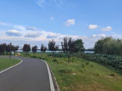 -金银湖国家城市湿地公园