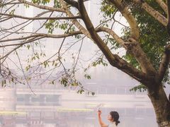 -重庆彩云湖湿地公园