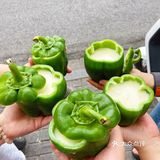肉还是烤的香～让人垂涎欲滴