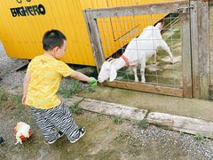 -前小桔亲子创意农场·草莓采摘·露营烧烤