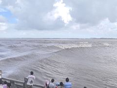 -观潮胜地公园