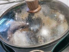 -青青河边草·小小河边鱼(万达广场太仓店)