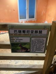-Zoolung Zoolung动物主题公园(海信广场店)