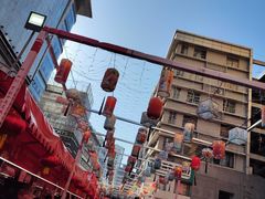 -越秀西湖花市(广州城市广场花卉店)