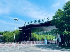 -黄海国家森林公园