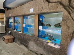 -郑庄脂渣海鲜楼(九水路店)
