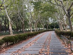 -东华大学(松江校区)