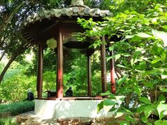 -上海醉白池公园