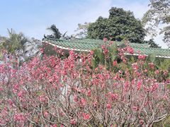 -广州莲花山旅游区