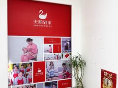 -天鹅到家·保姆月嫂育儿嫂(朝阳店)