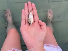 -汤山一号温泉度假区