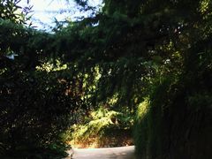 -西安市纺织公园