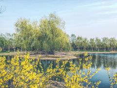 -东郊湿地公园