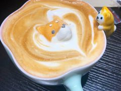 -逗柴咖啡屋·狗咖猫咖宠物桌游