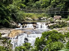 -海南热带雨林国家公园吊罗山景区