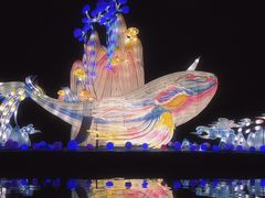 -白马涧龙池景区