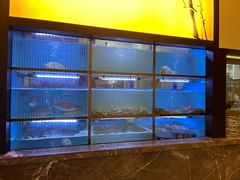 -享月汤皇(江油店)