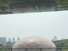 -金陵图书馆