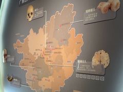 -广西壮族自治区博物馆