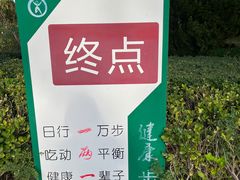 -大兴滨河森林公园