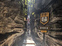 -梭布垭石林景区