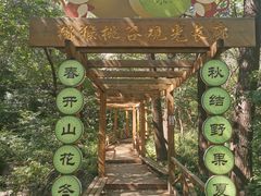 -大岭沟猕猴桃谷风景区