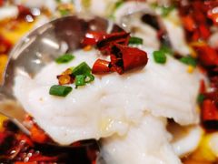 沸腾鱼（青竹鱼）-明仕那里稻里畈堂
