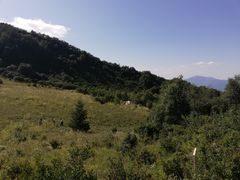 -白草畔自然风景区