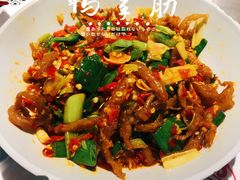 鸭掌筋-壹盏灯(惠农店)