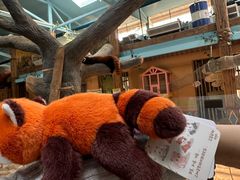 -石家庄市动物园