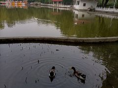 -丰台花园