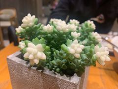 -重庆解放碑威斯汀酒店