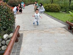 -成飞公园