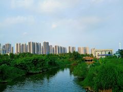 -大亚湾红树林城市湿地公园