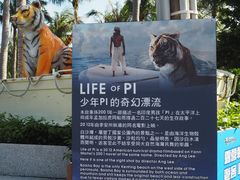 -白沙湾海滩